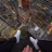 Lookingfromabove